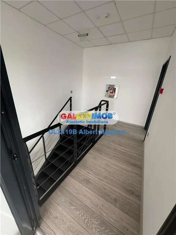 Inchiriere Spatiu Depozitare/Hala Centura-Mogosoaia - foto 13