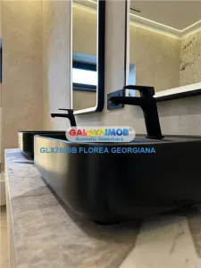 Inchiriere  casa superba Tunari - foto 21