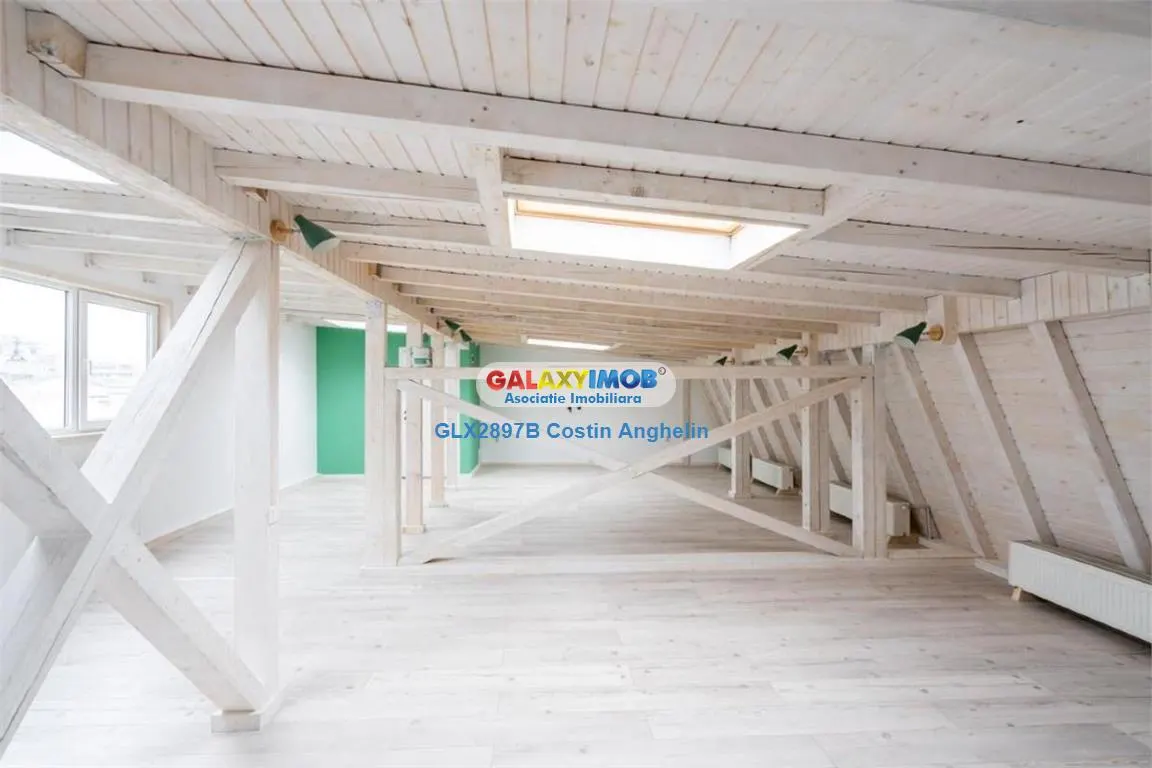 Vila Lux 5 Camere - Romana - foto 13