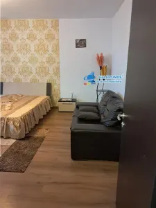 de inchiriat gars 42 mp  fratii golesti  la cheie - Pitesti