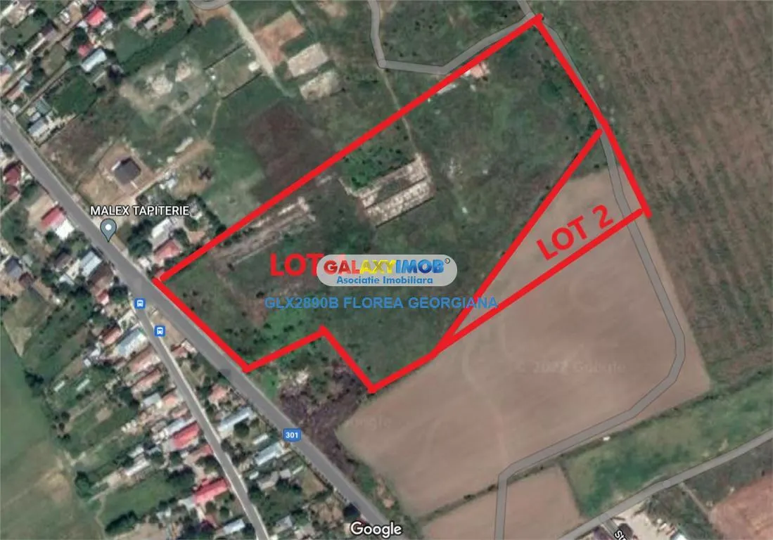 Vanzare teren 38.000 mp Tanganu Cernica - foto 2
