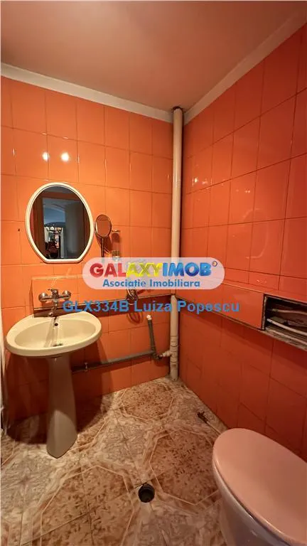VANZARE APARTAMENT 4 CAMERE TEIUL DOAMNEI - foto 11