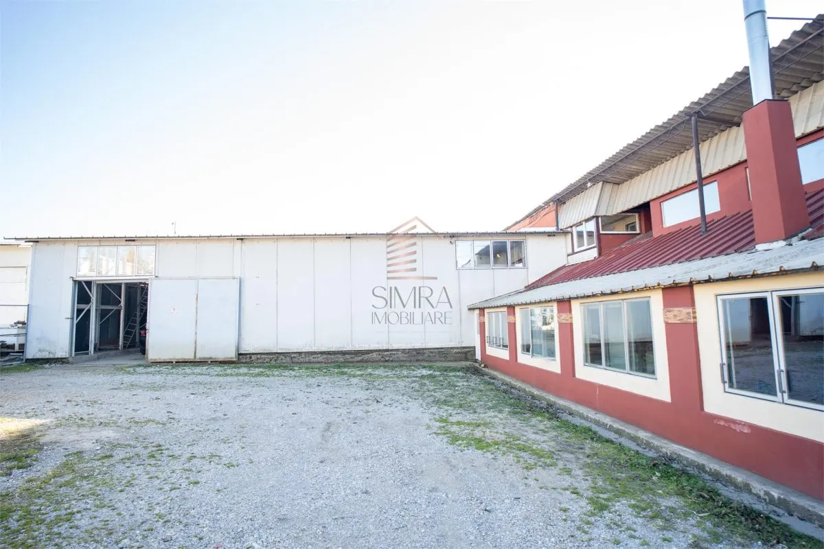 Hala industriala Calea Aradului - foto 3