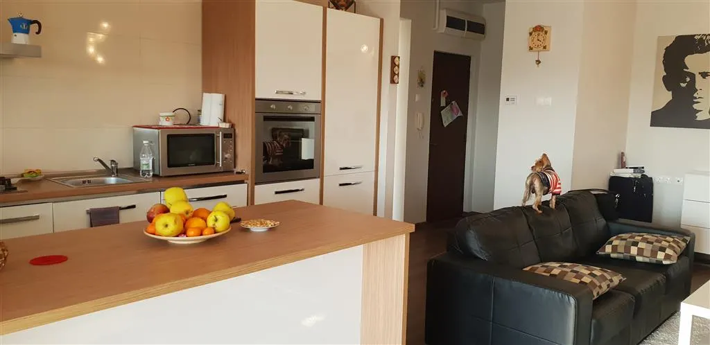Vanzare  apartament  2 camere Ploiesti, zona Albert - foto 7