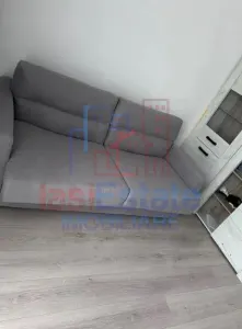 Apartament 1 camera Bucium - foto 2