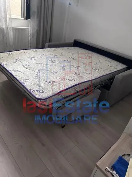 Apartament 1 camera Bucium - foto 3