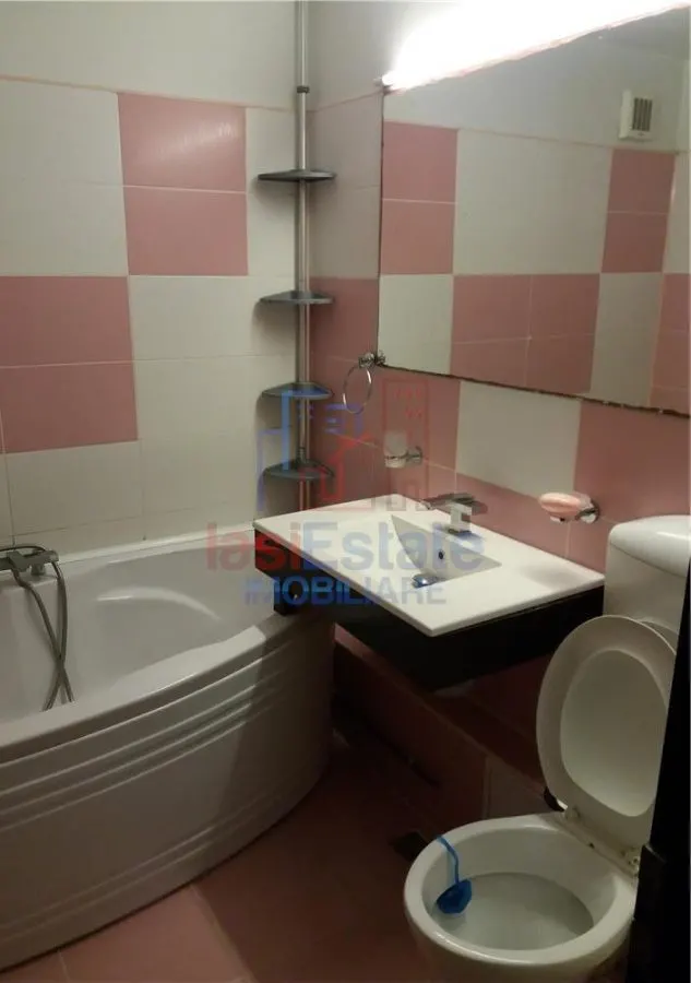 Apartament 3 camere Pacurari - Moara de Foc - foto 6