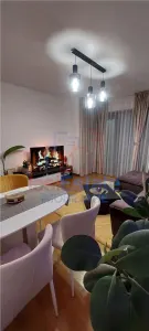 Apartament 2 camere Pacurari - foto 5