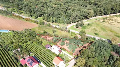 Doua terenuri – locatie deosebita, priveliste superba - Viile Satu Mare