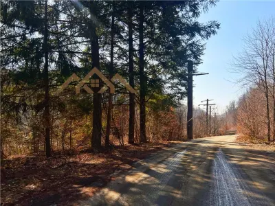 1,10 ha teren intravilan in Baita - foto 3