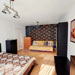 Apartament 1 camera Pacurari - Moara de Foc - foto 2