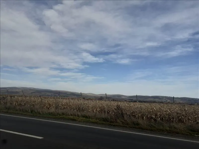 Vanzare teren intravilan, Feldioara, Brasov - foto 10