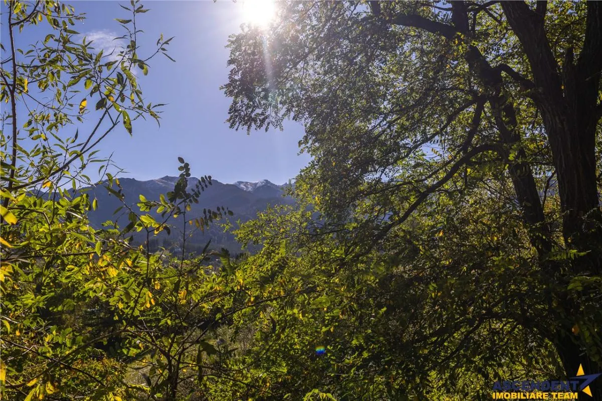 FILM! Edificu remarcabil, deschidere oportunitate de customizare - foto 7