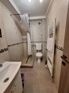Apartament 2 camere cu AC, Centru, et. 3,  Mures Mall - foto 4
