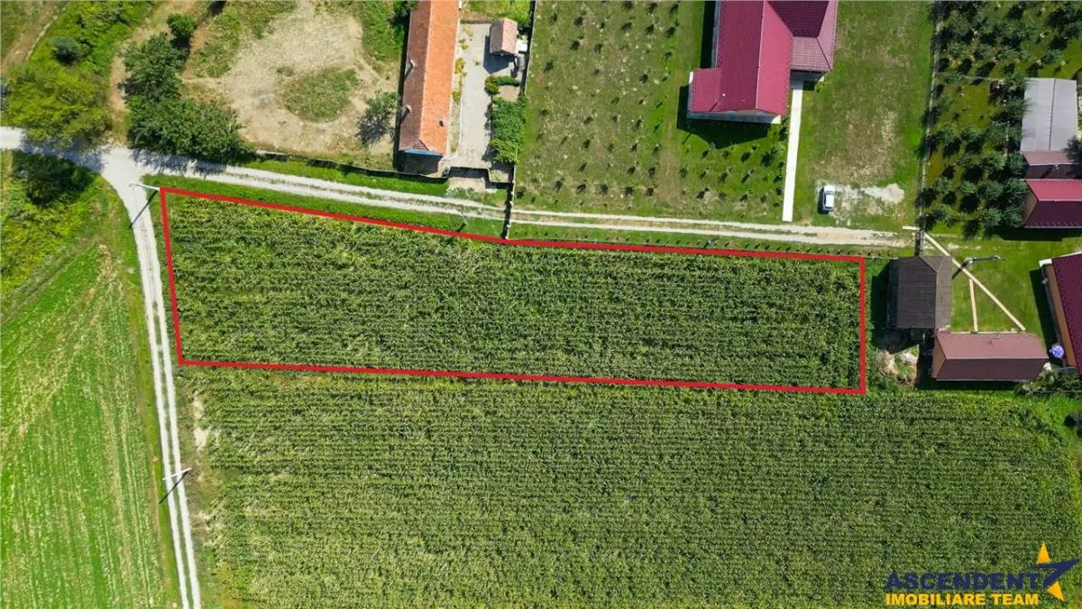 Teren intravilan, pe 2.000mp, Bacel, Covasna - foto 5