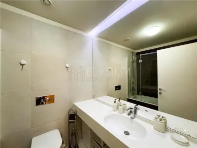 Apartament de inchiriat 2 camere One Herastrau Plaza - foto 14