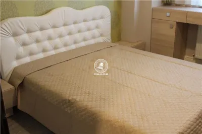 Apartament 2 camere de inchiriat, Moara de Foc - foto 4