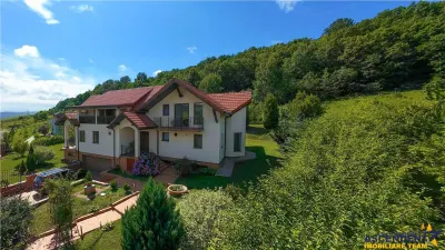 Refined ensemble, elite natural setting, 5 km from Corvin Castle. - foto 7