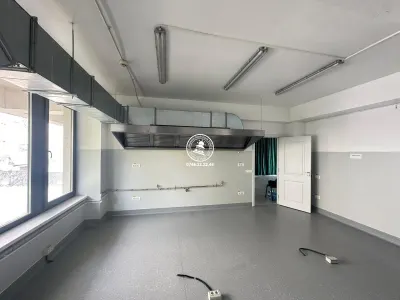 Spatiu comercial 182 mp de inchiriat, Valea Lupului - foto 11