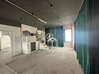 Spatiu comercial 182 mp de inchiriat, Valea Lupului - foto 5