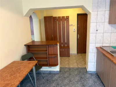 inchiriere Apartament 2 camere zona  Republicii -Mega-Image - foto 5