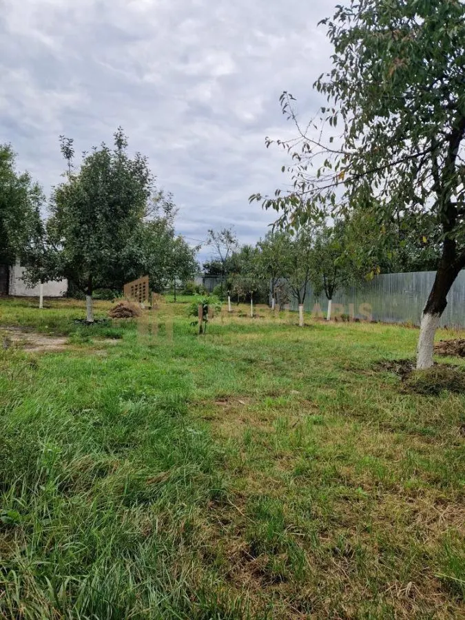 Casa Tautii de Sus - foto 3