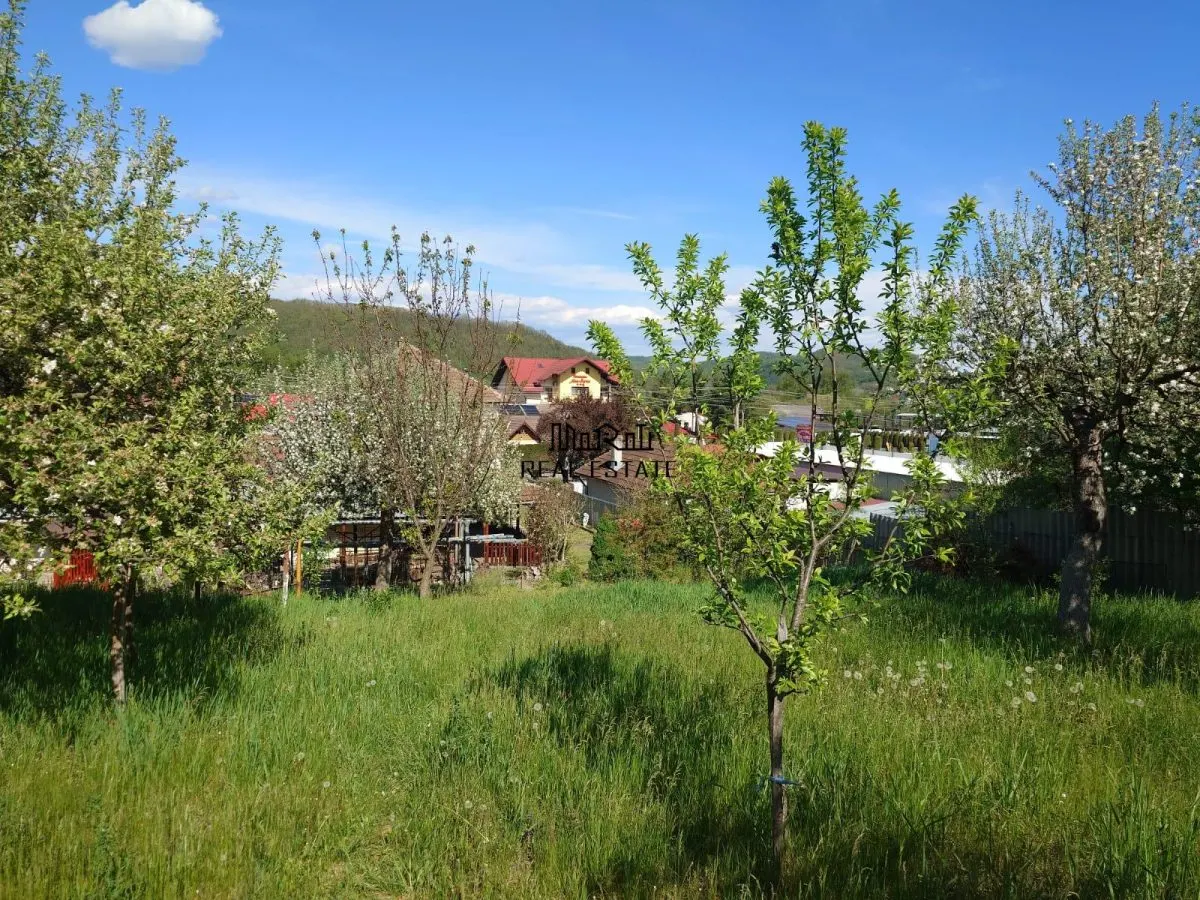 Casa si Teren Brad la drum european - foto 6