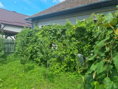 Casa spatioasa de doua camere in zona Craiter - foto 10