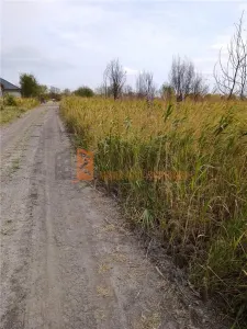 Teren extravilan in zona Spataru - foto 6