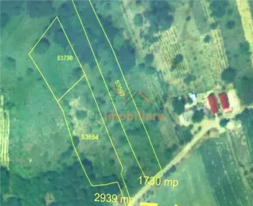 TEREN EXTRAVILAN  |  1730 MP |  UILEACUL DE CRIS | BIHOR - Uileacu de Cris
