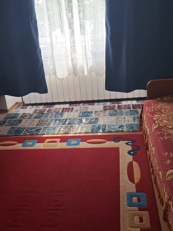 Apartament 3 Camere UMF - 450 euro - foto 6