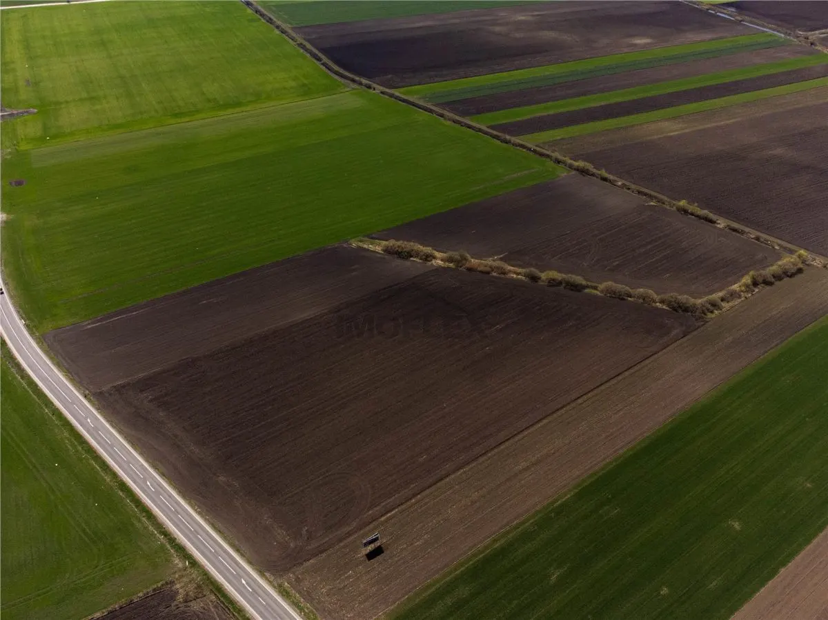 Teren Intravilan 14450 Cu PUZ Aprobat - foto 1