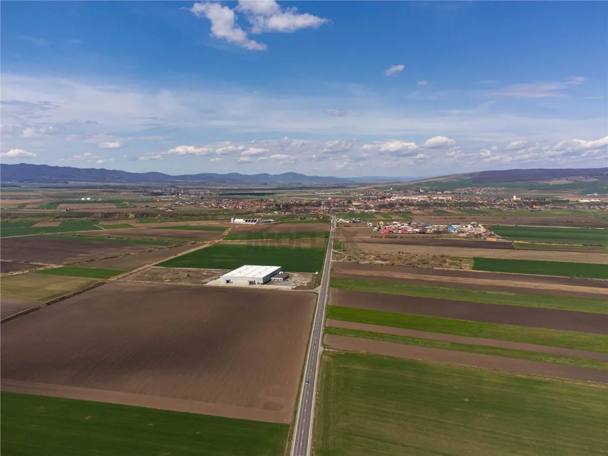 Teren Intravilan 14450 Cu PUZ Aprobat - foto 7