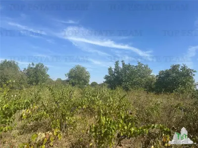 Vanzare teren intravilan construibil 1042 mp, in Ilfov-Branesti,ideal rezidenta sau investitie - Branesti