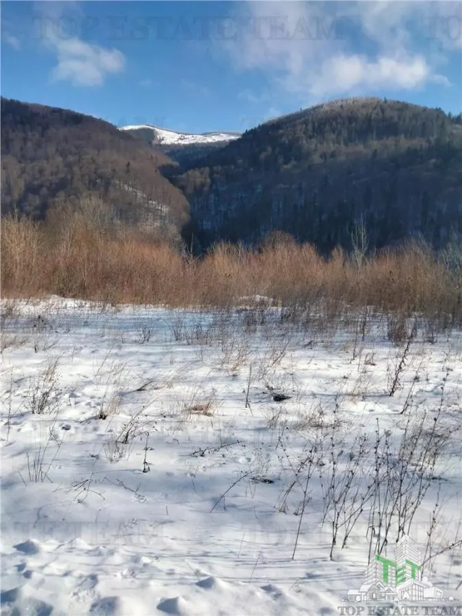 Teren Intravilan Sinaia 444 mp - foto 1