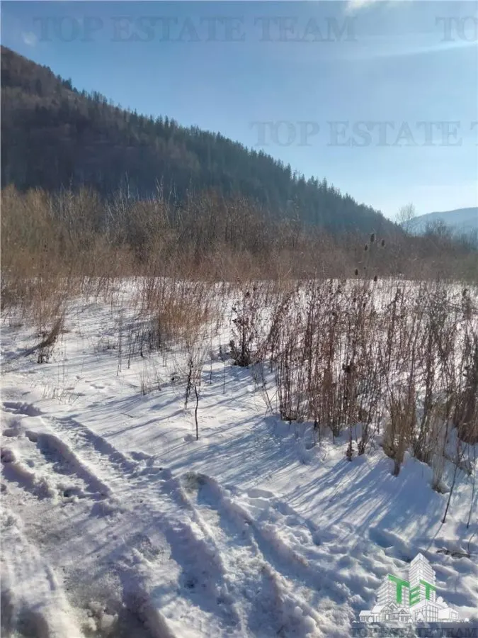Teren Intravilan Sinaia 444 mp - foto 5
