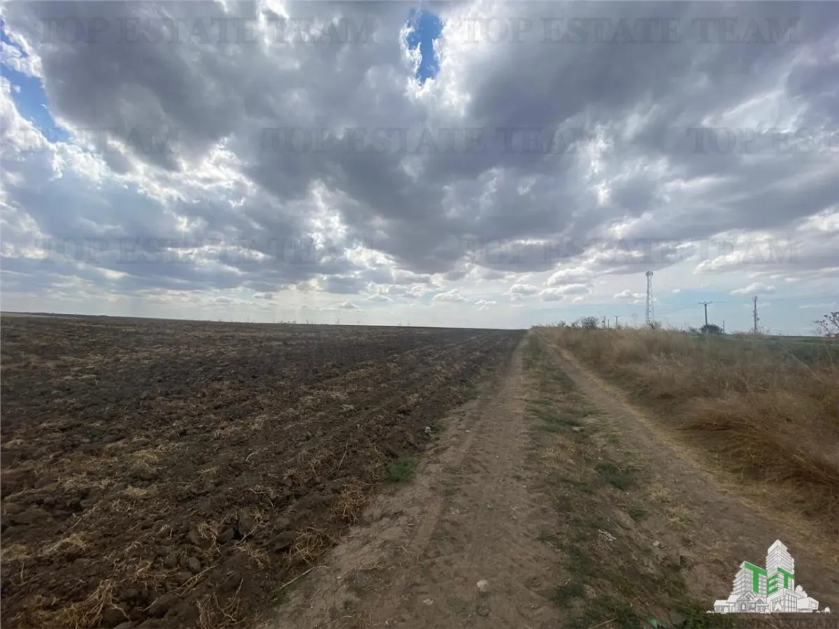Teren extravilan in Mihail Kogalniceanu, Constanta - foto 6