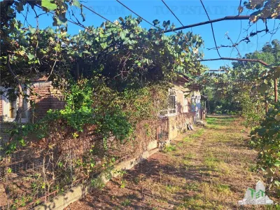 Casa cu teren 3579mp in com. Cascioarele, Jud. Giurgiu - foto 3