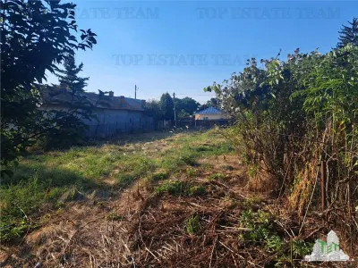 Casa cu teren 3579mp in com. Cascioarele, Jud. Giurgiu - foto 4