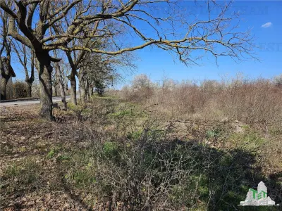 TEREN INTRAVILAN 24100 MP AGIGEA - foto 5