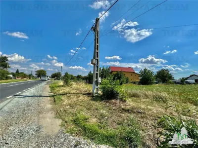Frumusani/ DN4 / Calarasi / Teren stradal de vanzare - Frumusani