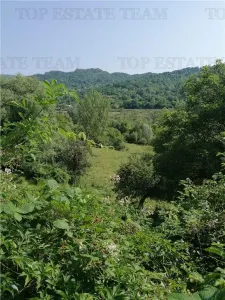 Teren 11230 m.p.  + Conac - necesita renovare - foto 3