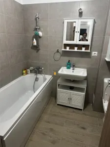 Inchiriere apartament  2 camere zona Albert - foto 4