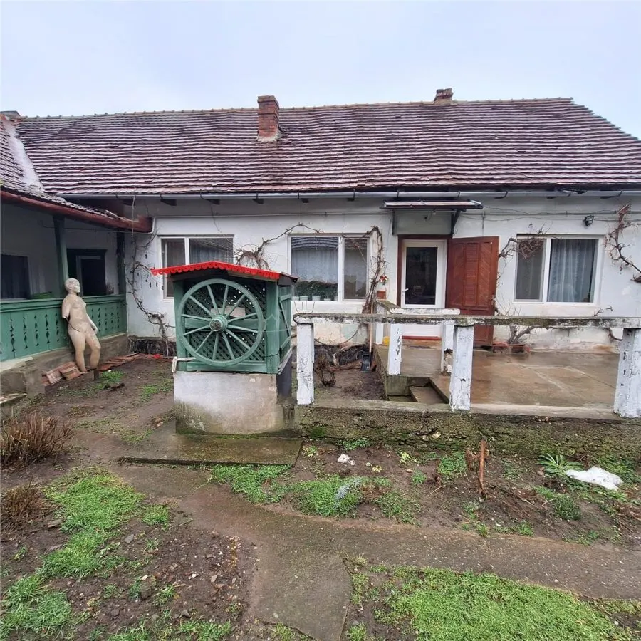 Bocsa Montana, Casa mare la strada principala - foto 22