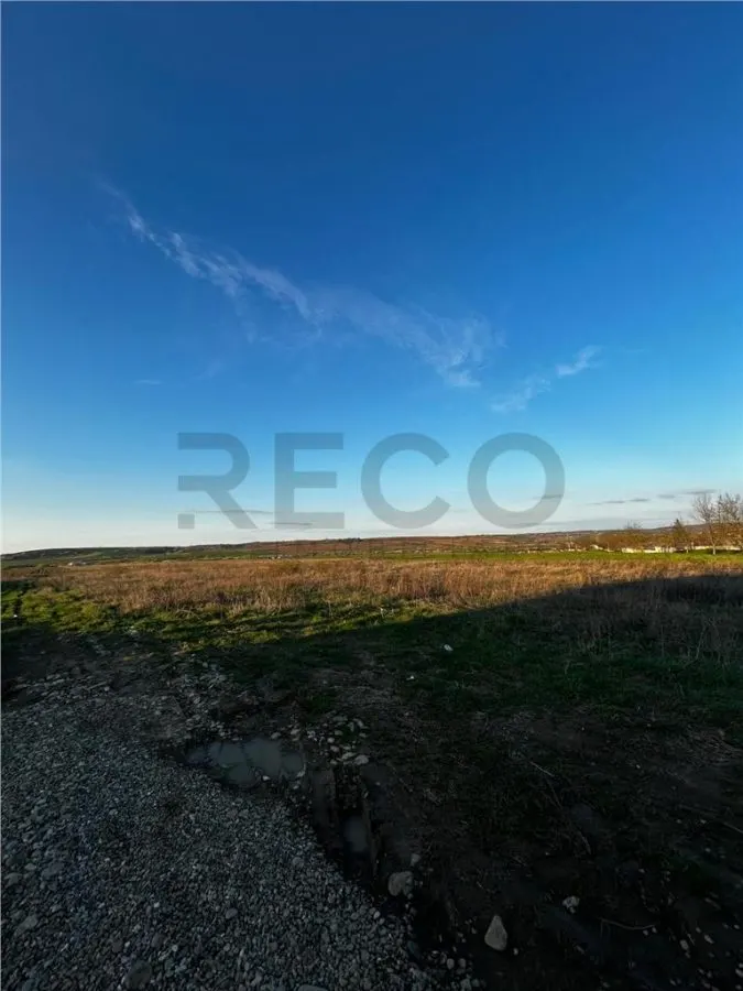 RECO Teren intravilan 1025mp În Paleu - foto 1