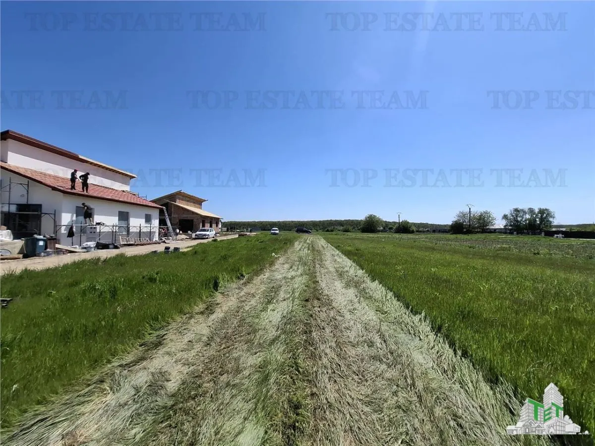 Vanzare Vile Premium Snagov /The Four Residences - foto 6