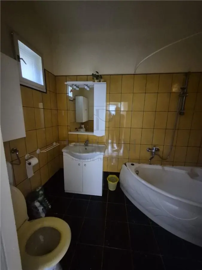 CALEA BUZIAS, 2 CASE INDIVIDUALE CU TEREN GENEROS - foto 7