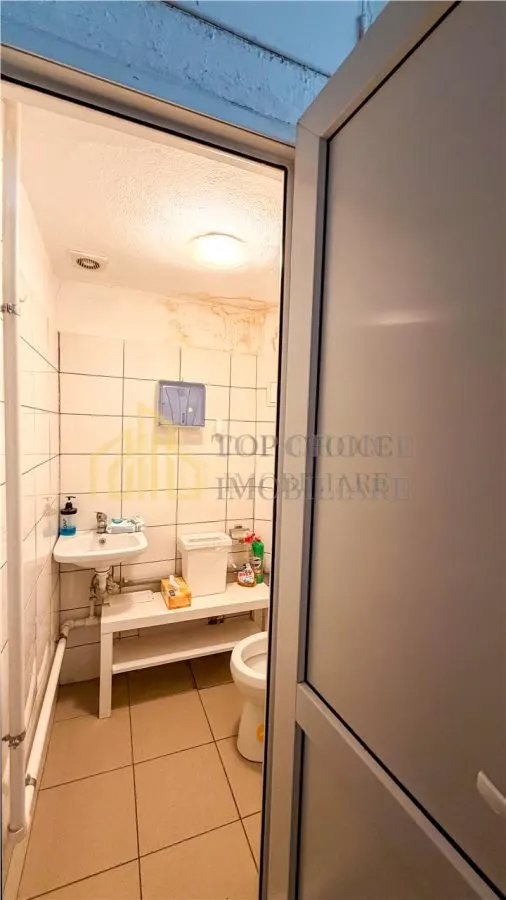 SPATIU COMERCIAL TEI PARCUL CIRCULUI IDEAL DEPOZIT / LOGISTICA - foto 18