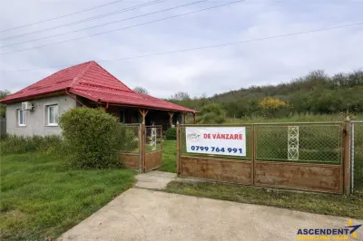 Film&3D!Proprietate cu potential:casa, atelier,domeniu de 2.700 mp: Sanmarghita, Mures - Sanmarghita