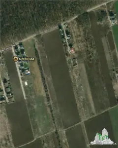 Teren de vanzare langa padure| Tamasi, Corbeanca | 1170mp - Tamasi